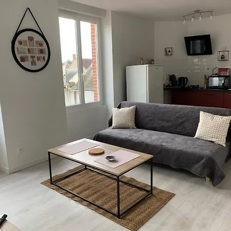Appartement Avec Cour Saint-Brisson-sur-Loire Exterior foto